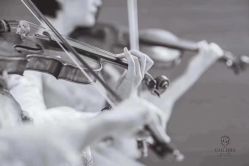 -格乐利雅婚礼艺术中心(南外滩店)