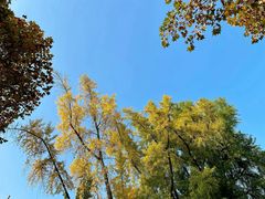 -四川大学(华西校区)