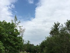 -白鹭湾湿地公园