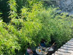 -老张烤羊(王哥庄店)