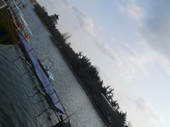 -莱西月湖公园