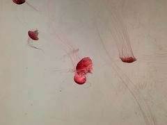 -沈阳海洋探索中心