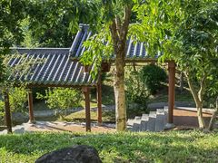 -广州神农草堂中医药博物馆