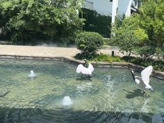 -广富林宰相府酒店·水云间