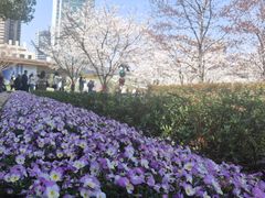 -上海自然博物馆