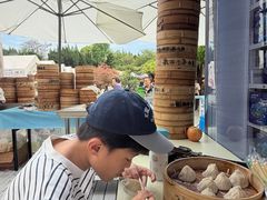 -嘉定紫藤园