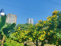 -晓港公园