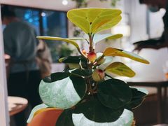 -本处·素食·融合料理(南油店)