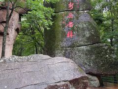 -汤旺河林海奇石景区