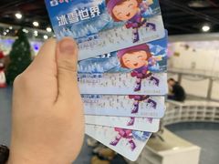 -世界之窗阿尔卑斯冰雪世界