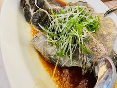 -顺峰(农展馆店)