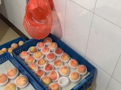 -老袁家蜜桃农场·阳山水蜜桃