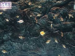 -苏州海洋馆