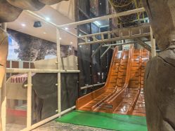 -卡通尼·Safari非洲探索乐园·生日会(金桥国际商业广场店)