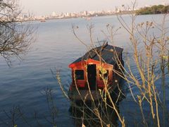 -西湖外事游船(花港观鱼码头)