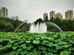 -龙头寺公园