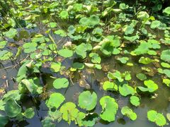 -韶山毛泽东同志故居