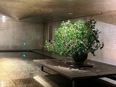 -隐溪茶馆(静安寺店)