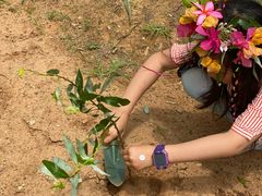 -石梅湾艾美度假酒店