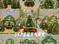 -北京SKP