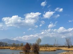 -野鸭湖国家湿地公园