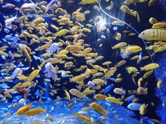 -成都浩海立方海洋公园