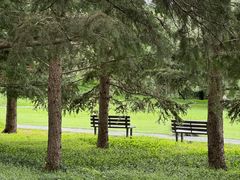 -国家植物园南园