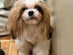 -和它·交个朋友·狗咖猫咖(爱琴海店)