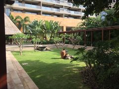 -三亚湾海居铂尔曼度假酒店