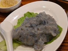 -南海鸽天下(肇庆店)