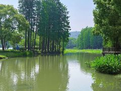 -无锡蠡湖国家湿地公园-蠡园