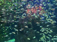 -海合安成都极地海洋公园