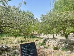 -元大都城垣遗址公园