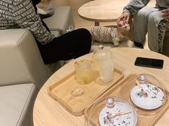 -猫腻·猫咖·撸猫馆(星光大道店)
