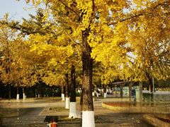 -重庆中央公园(渝北区)