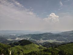 -紫鹊界梯田景区