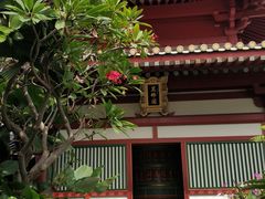 -新加坡佛牙寺龙华院
