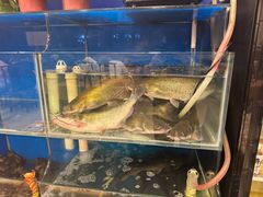 -秦记香辣蟹(松榆里店)