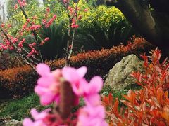 -成都许燎源现代设计艺术博物馆