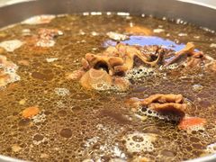 -蝎王府羊蝎子(天通苑店)