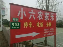 -小六农家乐(崇明西沙湿地店)