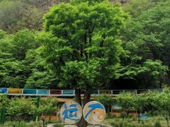 -十渡东湖港风景区