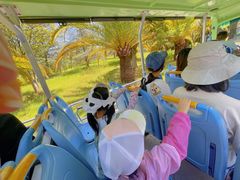 -世界恐龙谷景区