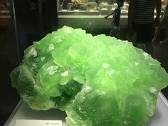 -湖南省地质博物馆