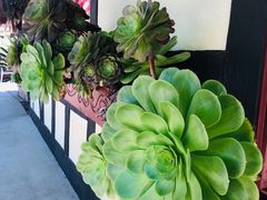 -索尔万