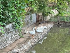 -丽泽山庄·生态怀柔菜·虹鳟鱼(红螺寺店)
