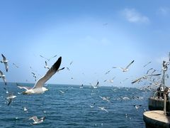-大连海昌东方水城