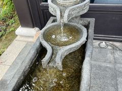 -春色如许·茶食餐厅(桃李春风店)