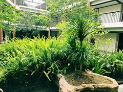-广悦华阳朔河畔度假酒店(十里画廊遇龙河店)