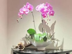 -惠如楼(白云机场T1西三连廊店)